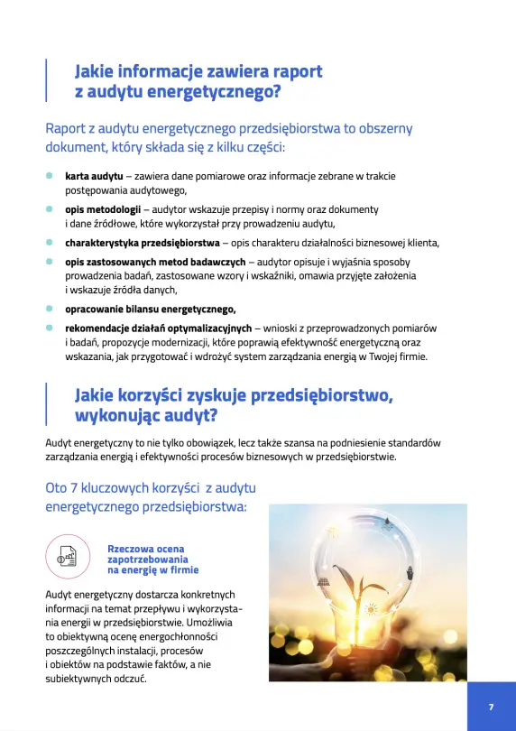 Raport z audytu energetycznego zawiera dane pomiarowe, metodologię, charakterystykę przedsiębiorstwa, opis metod badawczych, bilans energetyczny oraz rekomendacje działań optymalizacyjnych.